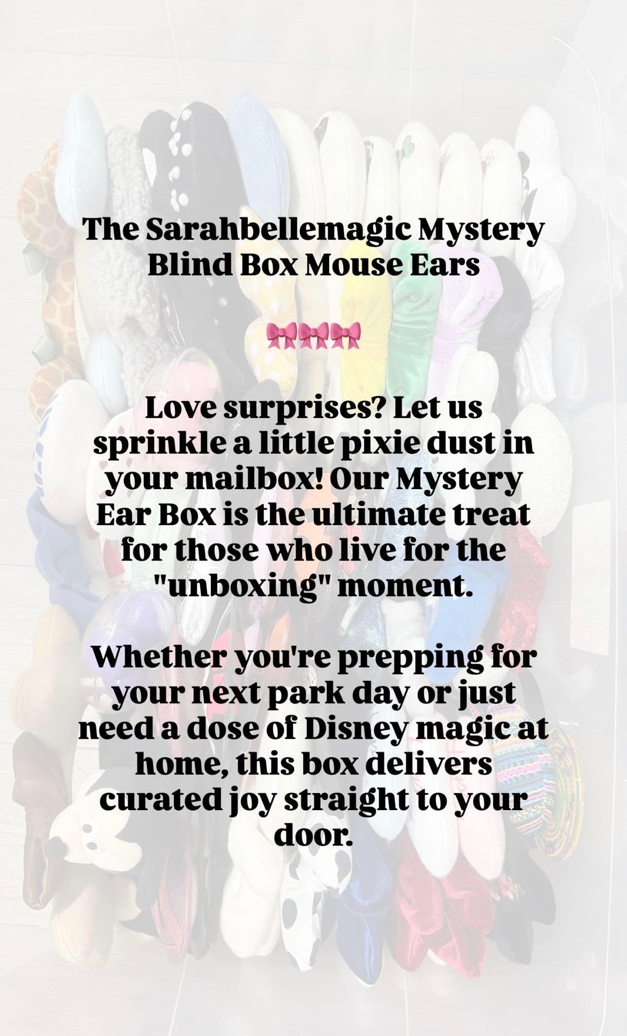 Blind Box Mystery Mouse Ears | Please Read Full Description