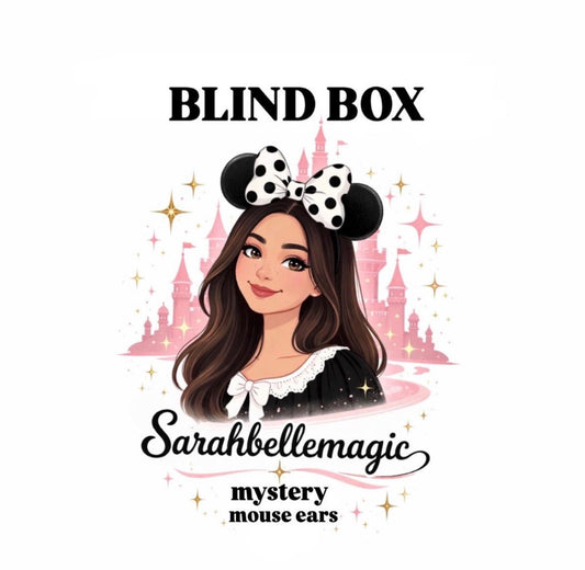 Blind Box Mystery Mouse Ears | Please Read Full Description