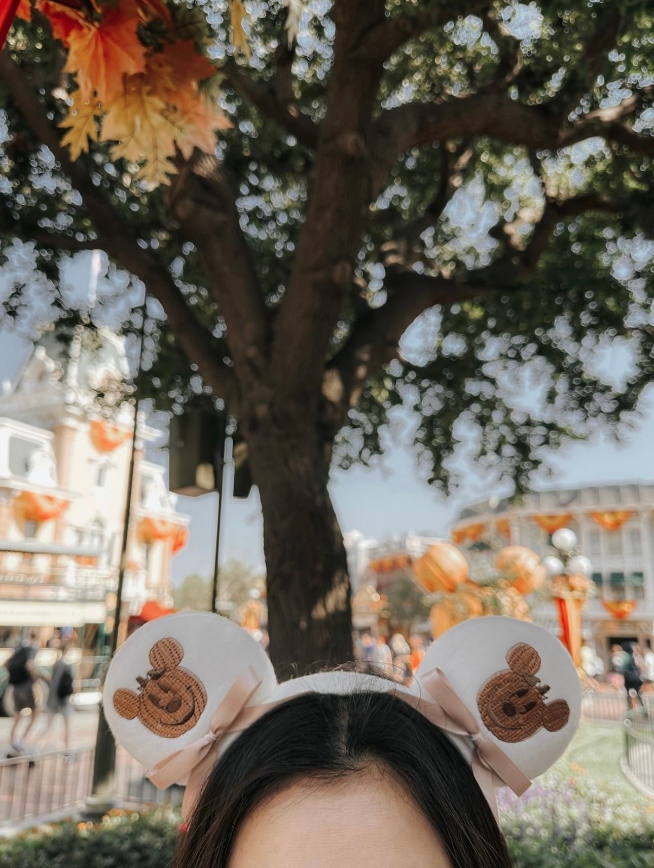 Mocha Mouse Pumpkins